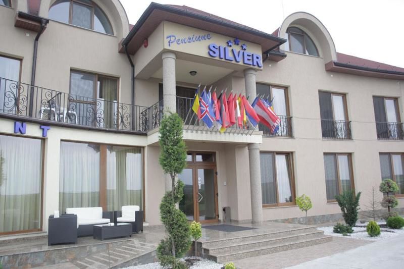 Гостевой дом Pension Silver Sîmbăta-37